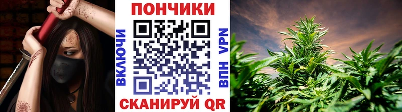 Сколько стоит Буинск Cocaine  ГАШ  Псилоцибиновые грибы  Марихуана  А ПВП 