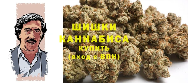 амф Белокуриха