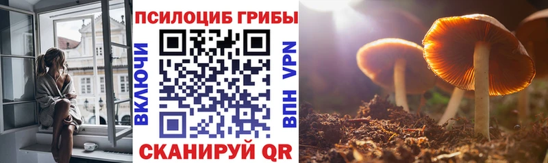 mega ссылка наркота Буинск Галлюциногенные грибы ЛСД